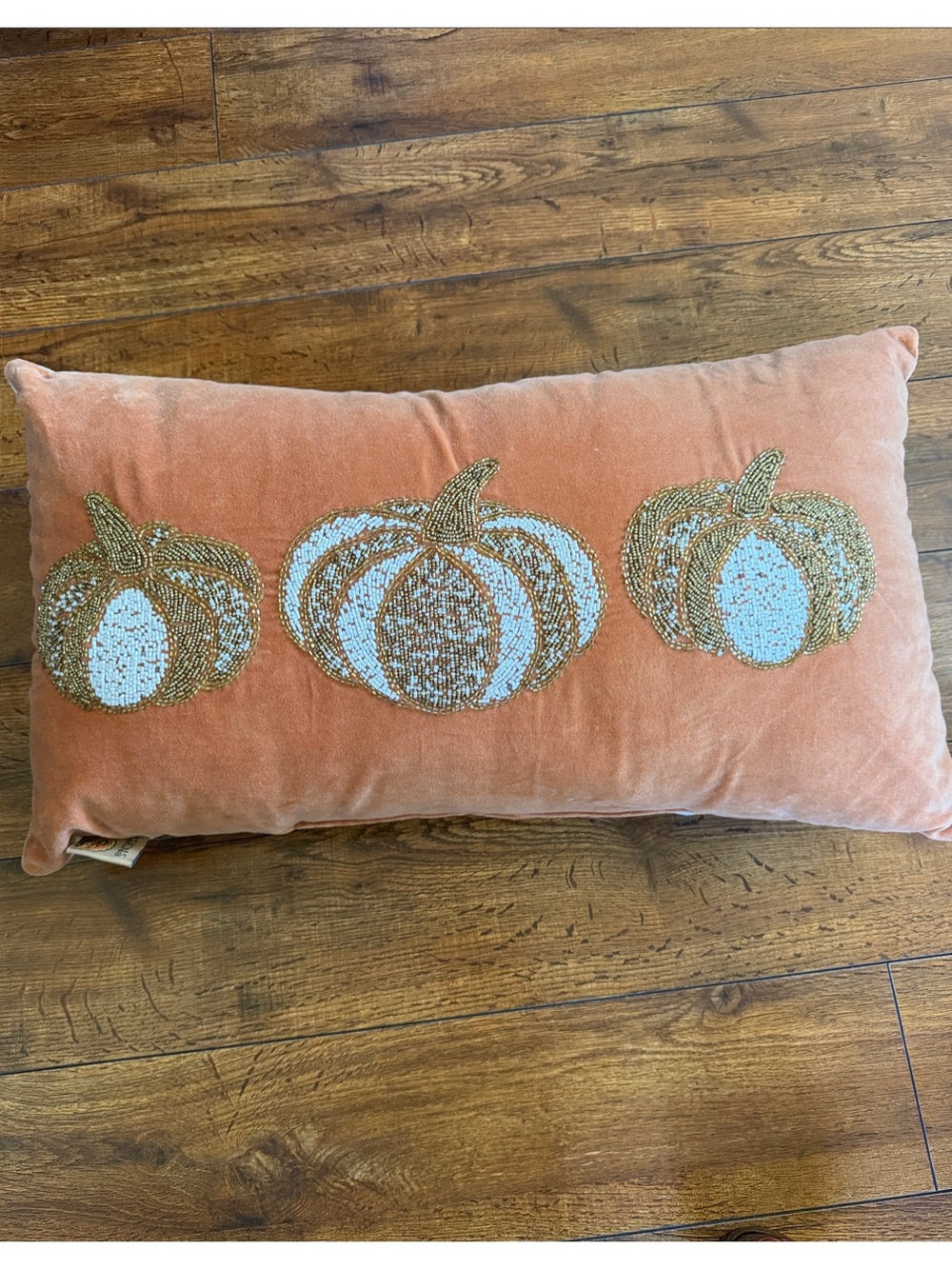 Autumn Pumpkin Beaded Velvet Holiday Pillow - Orange